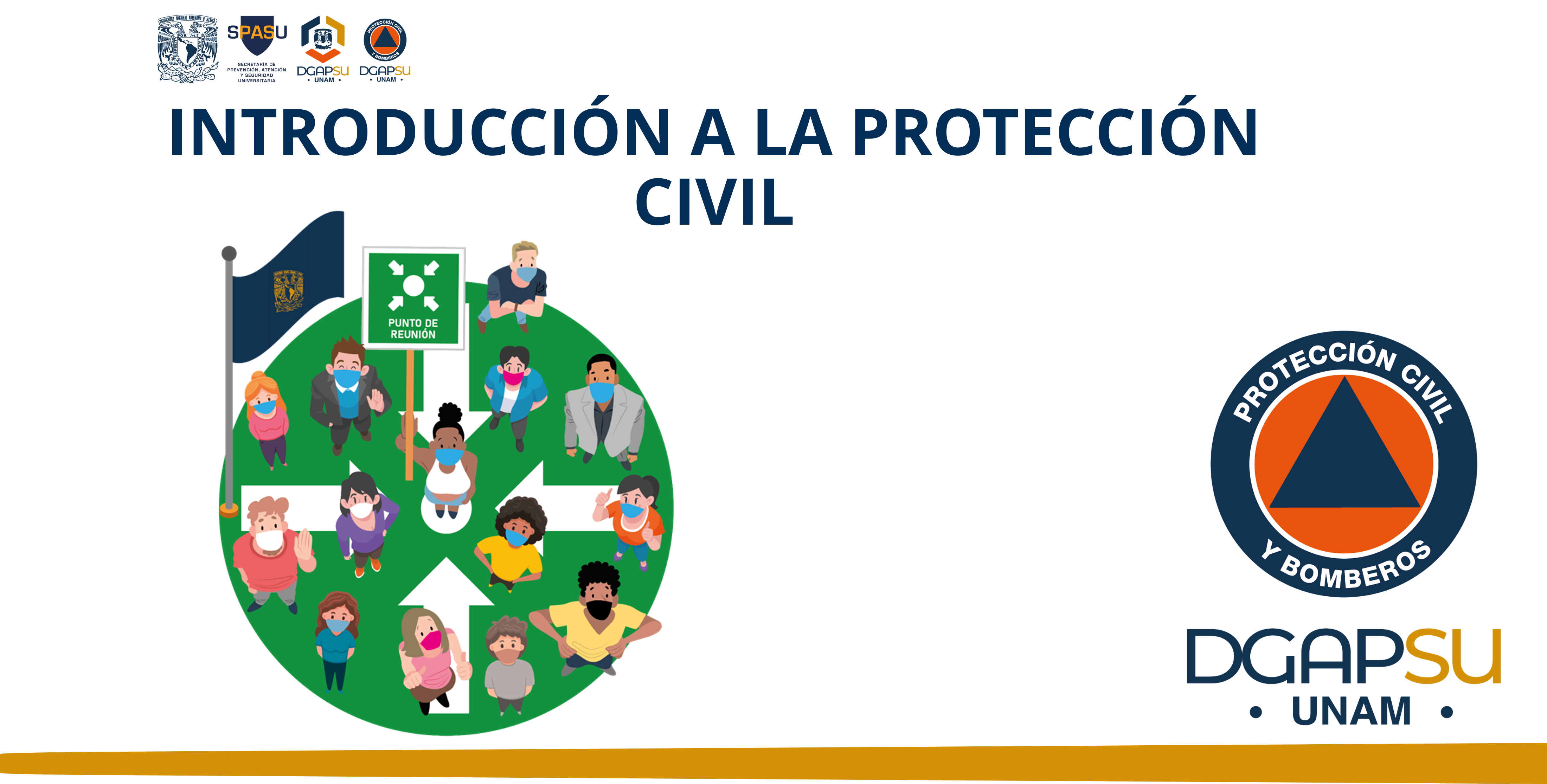 Curso Introducción a la Protección Civil_DGAPSU